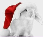 Фотография Шапас Кристины