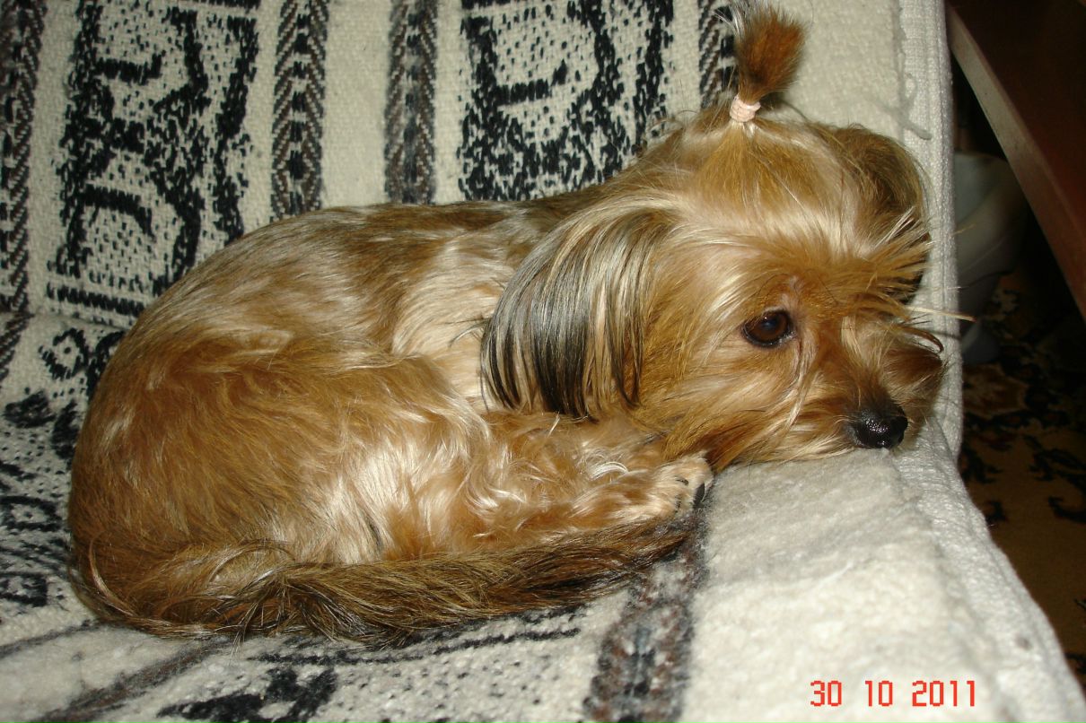 Иван Андреев фотография #13