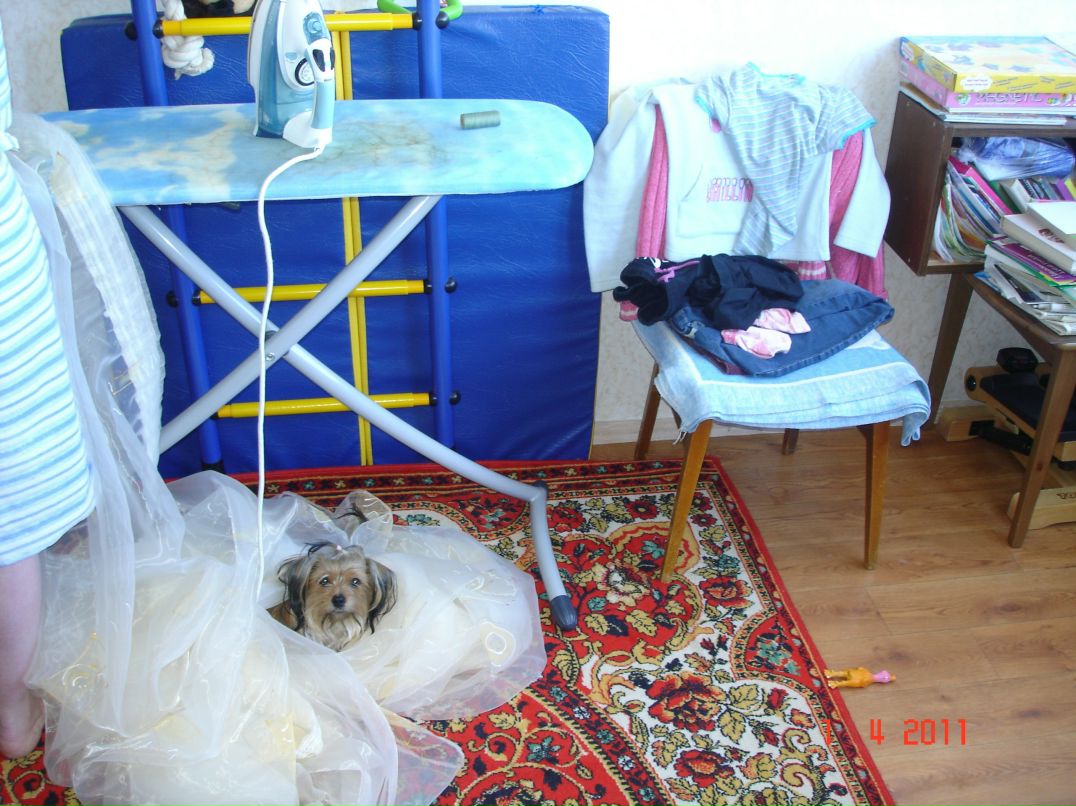 Иван Андреев фотография #50