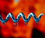 Фотография Malakhovskiy Petya