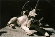 Андрей Разбаш фотография #28 (источник - https://vk.com/id4143399)