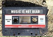 Фотография Шалаева Антона