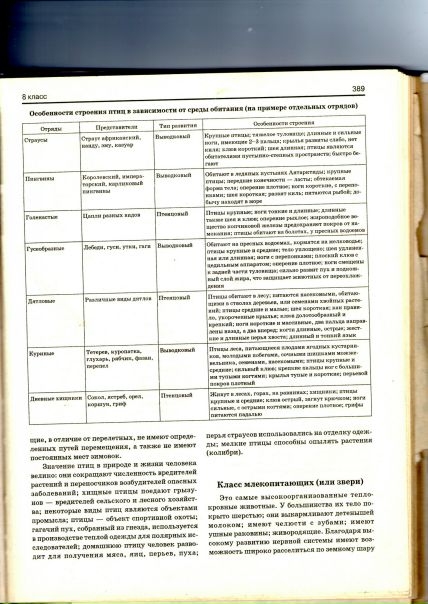 Assfd Sdfs фото №1