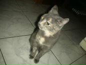 Фотография Разговоровой Анастасии