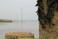 Ірина Шафран фотография #12 (источник - https://vk.com/id11497429)