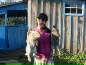 Фотография Сагирова Турагент Региши