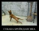 Віталік Вольт фотография #44 (источник - https://vk.com/id2228781)