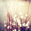 Фотография Верховой Регины