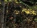 Андрій Герасимчук фотография #29 (источник - https://vk.com/id147001068)
