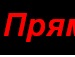 Ден Кургаєв фотография #10 (источник - https://vk.com/id81212075)