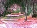 Оля Війтович фотография #8 (источник - https://vk.com/id139977168)