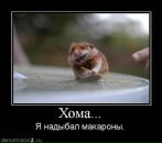 Фотография Князевой Галины