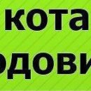 Сашка Пілюшенко фотография #24 (источник - https://vk.com/id84577810)