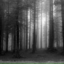 Фотография Белова Александра