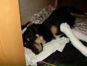 Фотография Терентьевой Елены