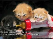Фотография Соколовой Инги