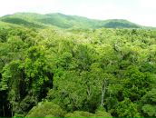 Дмитрий Венгерцев фотография #4 (источник - https://vk.com/id181221)