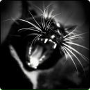 Фотография Belousowa Elena