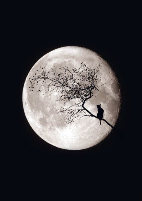 Мария Чернова фотография #21