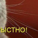 Діма Бричка фотография #17 (источник - https://vk.com/id137975523)