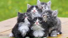 Фотография Скворцовой Ксюши