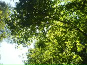 Иван Кузнецов фотография #18 (источник - https://vk.com/id98103)