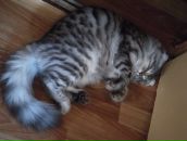 Фотография Ондар Яня