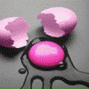 Фотография Трутневой Светланы