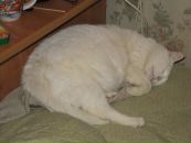 Фотография Никольского Игоря