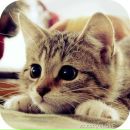 Іра Мартинюк фотография #15 (источник - https://vk.com/id212791955)