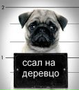 Андрій Дущак фотография #34 (источник - https://vk.com/id95316846)