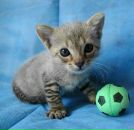 Фотография Трушиной Ирины