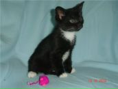 Фотография Веселовой Юлии