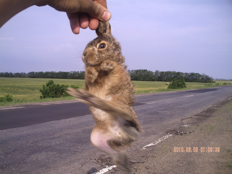 Олеся Орманджи фотография #37