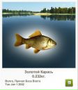Іван Максимів фотография #7 (источник - https://vk.com/id81401874)