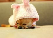 Маша Петрова фотография #14 (источник - https://vk.com/id405203)