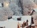 Аліна Камад фотография #14 (источник - https://vk.com/id69373378)