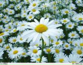 Фотография Ошурковой Юли