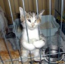 Фотография Михеева Максима