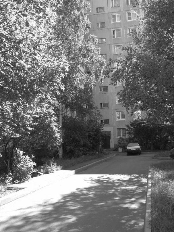 Александр Сиряк фотография #11