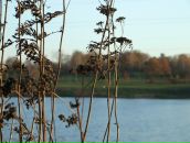 Рю Мураками фотография #21 (источник - https://vk.com/id2067589)