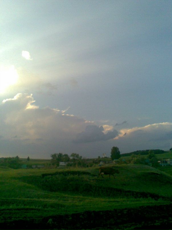 Рустем Валеев фотография #50