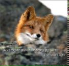 Фотография Крутяковой Оксаны