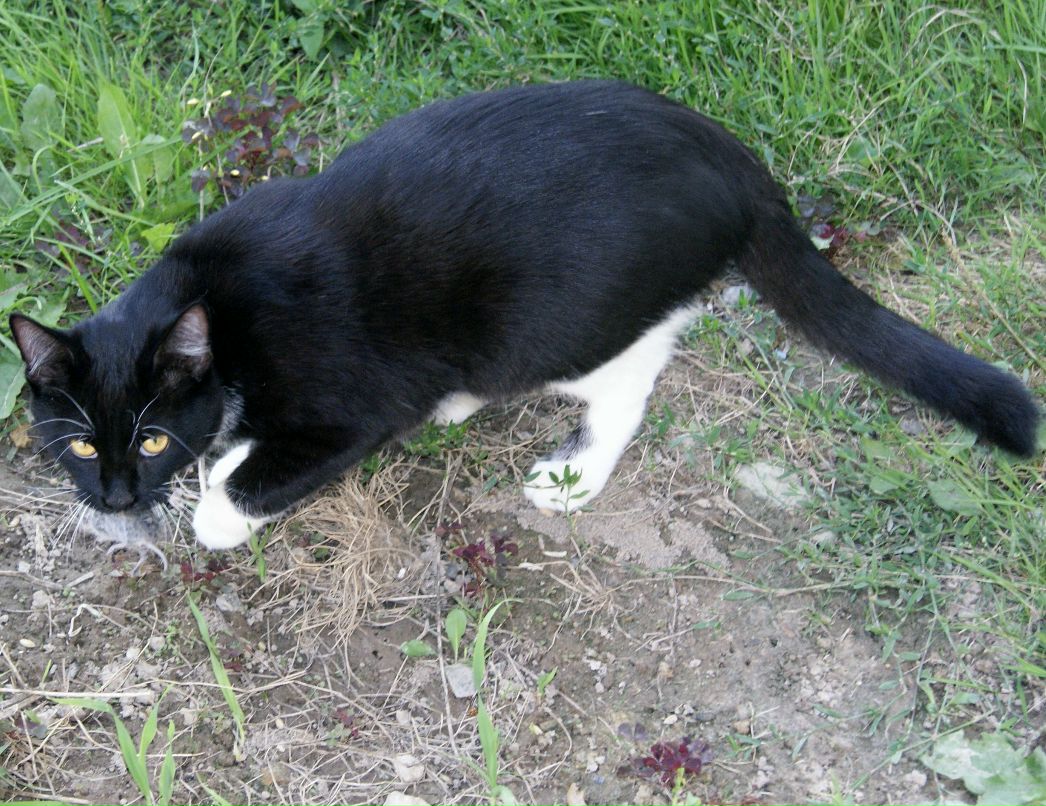 Антон Чучалин фотография #15