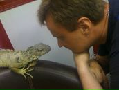 Фотография Говоркова Андрея