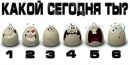Вика Плотникова фотография #45 (источник - https://vk.com/id162871101)