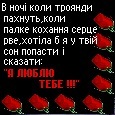 Вікторія Гаїферук фотография #4 (источник - https://vk.com/id216279193)