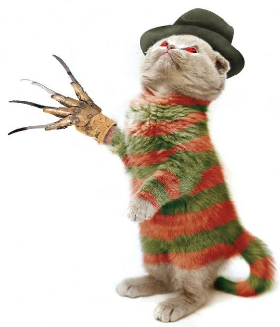 Дима Стащенко фотография #40