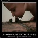 Фотография Сапфир Виолетта