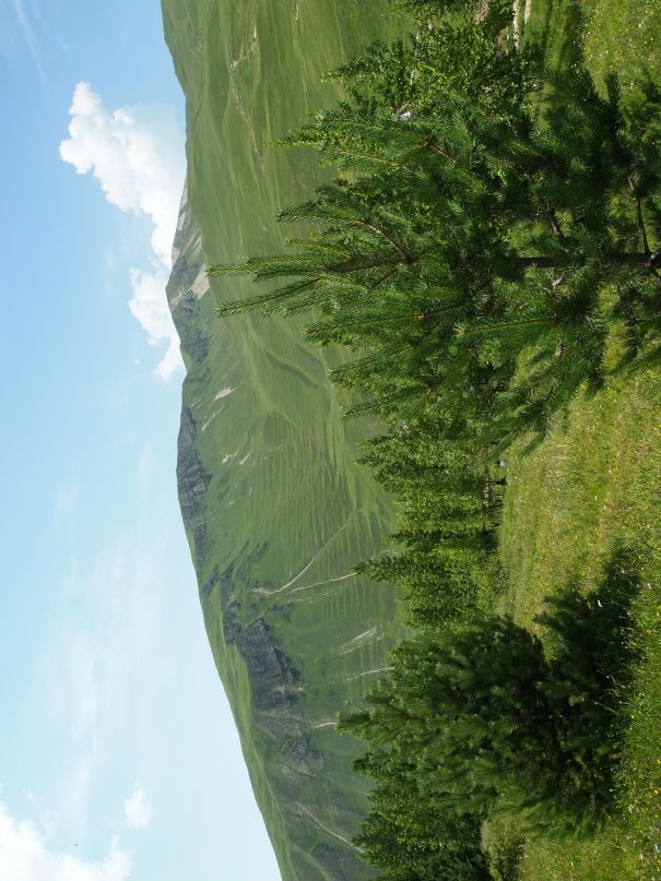 Олег Вешкин фотография #7